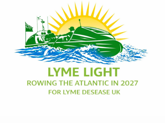 lyme light 2